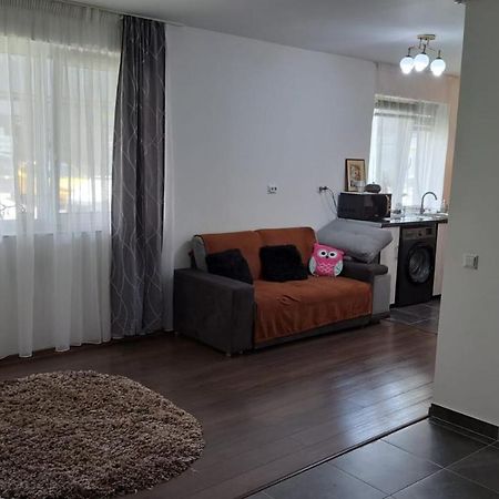 Cozy Nest Lejlighed Sinnicoara Eksteriør billede